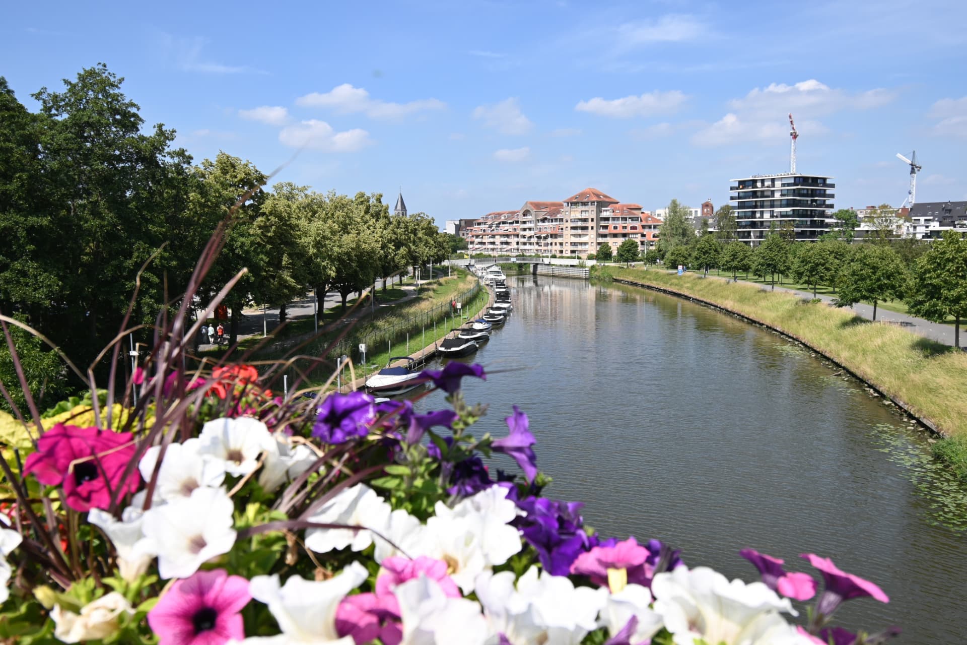 Deinze — De Leie in Petegem-aan-de-Leie